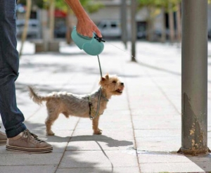 Mollet obligará a los responsables de perros a diluir la orina con agua