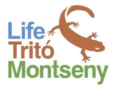 El proyecto para la conservación del tritón del Montseny continuará con nuevos retos