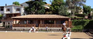 Barcelona Horses