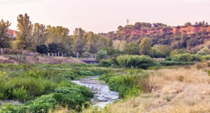 El entorno del rio Ripoll recibe 1,5 millones de euros para fomentar el turismo fluvial