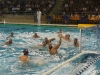 Pro Recco y Szolnoki, rivales del lujo