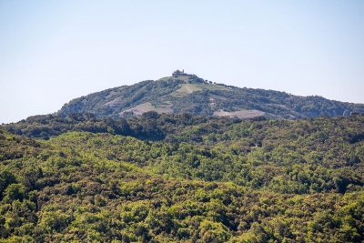 El Parque Natural de Sant Llorenç del Munt cumple 50 años