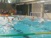 El Club suma, ante el Canoe, su tercera victoria seguida (14-11)